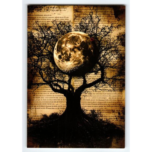 Halloween Moon Tree Vintage Style Photochrome Postcard 5.5x4" - Picture 1 of 2
